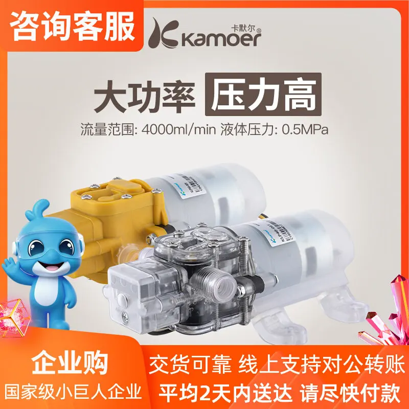 Miniature Electric Diaphragm Pump, 12V Small Submersible Pump, Household Booster Pump, 24V High-Pressure Spray Pump, Priming