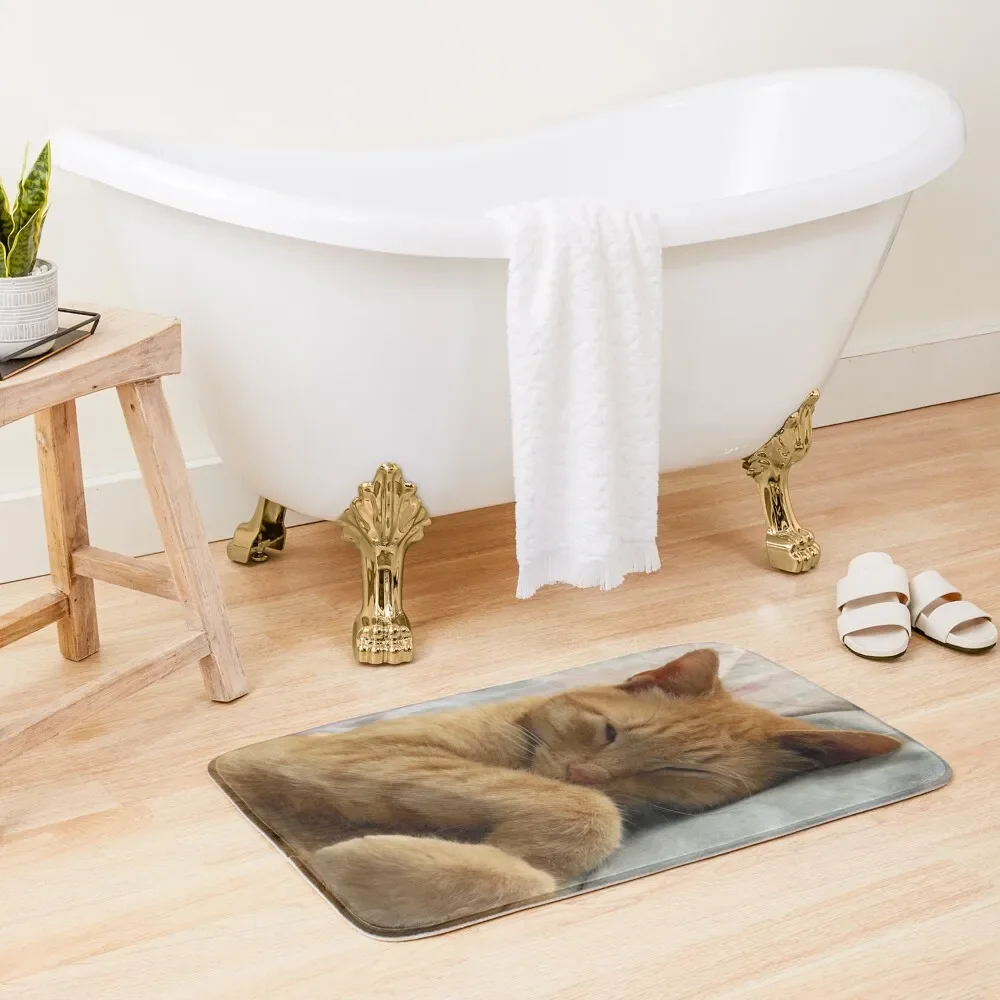 

Ginger Cat Sleeping Bath Mat Carpet Carpet Carpet Living Room Rugs In The Living Room Modern Bathroom Accessories Mat