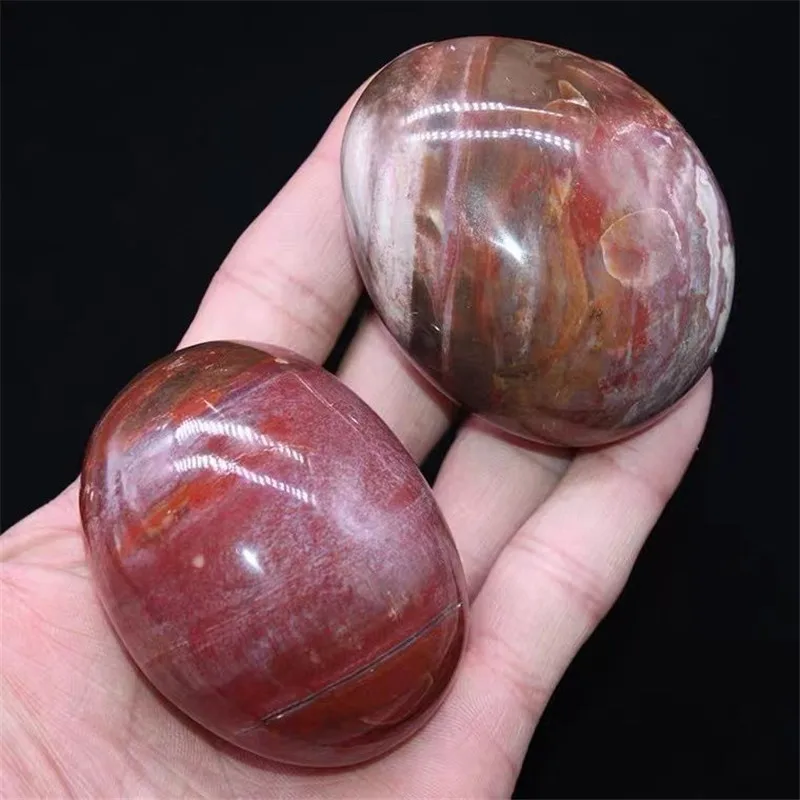 1000g Nature Petrified Wood Palm Crystal Polished Stone For Home Office Garden Tank Decoration Gift Halloween Healing