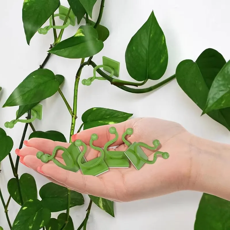 20/40/60Pcs Plant Climbing Wall Fixture Clips Rattan Vine Fixer Self-Adhesive Hook Invisible Garden Binding Clip Wall StickyClip