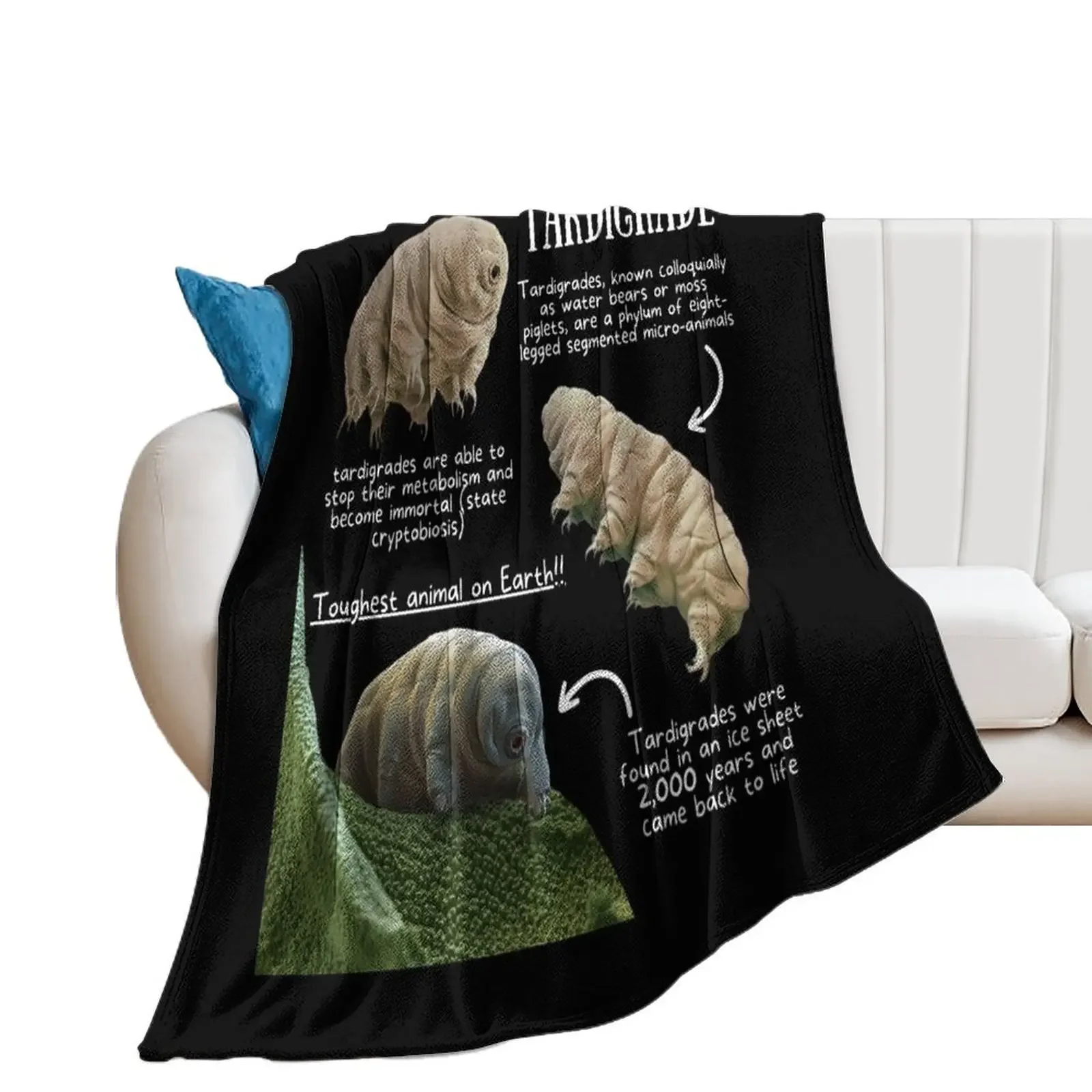 Tardigrade Fun Facts Throw Blanket Single Personalized Gift Decorative Throw Blankets