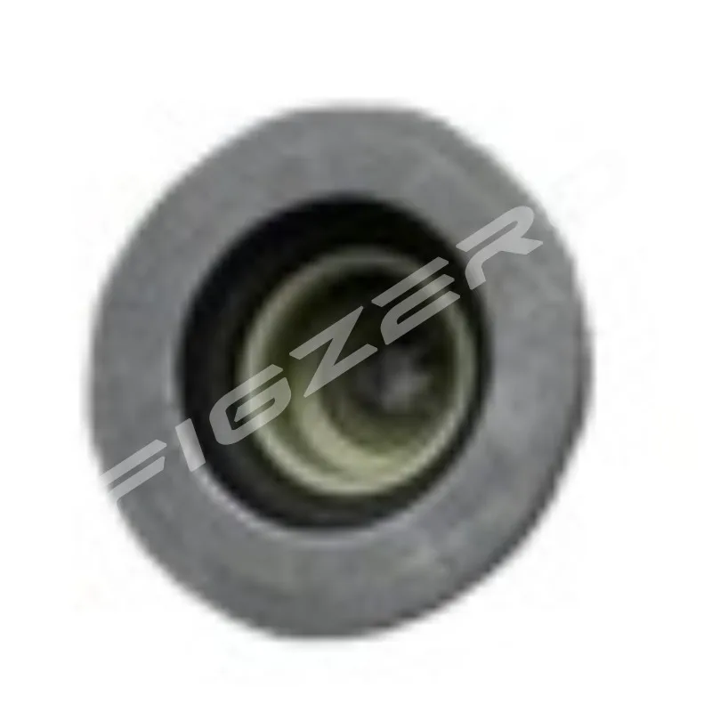 Valve Oil Seal China Genuine for BMW MINI N13 N14 N16 N18 F20 F30 F35 R55 R56 R57 R58 R59 R60