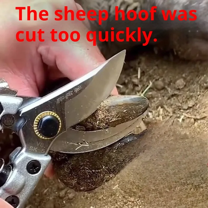Sharp Goat Pig Cattle Hoof Cutter Lightweight Portable Sheep Hoof Trimmers Operation Labor Saving Livestock Hoof Service Tool