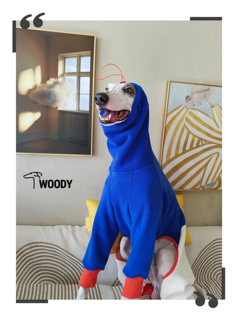 Luxury Winter Fleece Turtleneck Whippet Onesie Fashion Italian Greyhound Dog Clothes Small and Medium Airless TerrierDog Coat