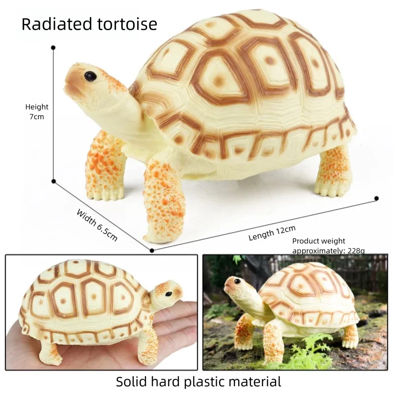 Oenux Simulations-Schildkröten-Set: Alligator, Galapagos-Schildkröte, Chinesische Weichschildkröte Figuren und Puppen – Detail 19