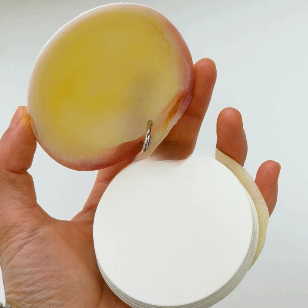 Natural Shell Abalone Shell Notebook Mini Compact Smooth Pages Natural Seashell Notebook Lightweight Gradient Color