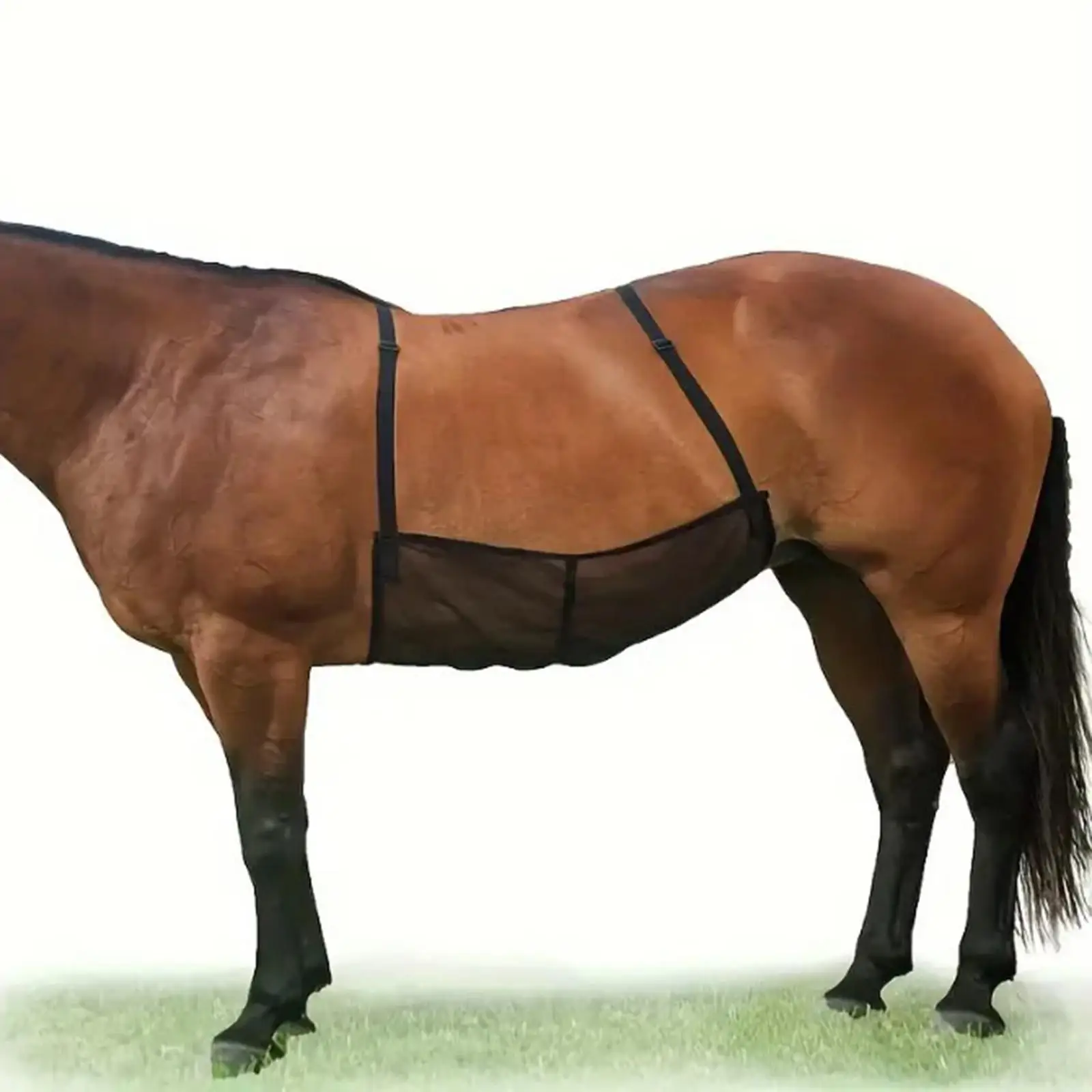 واقي للبطن من ورق ذبابة الحصان، خفيف الوزن لمستلزمات الحيوانات الأليفة، حزام شبكي قابل للتعديل لركوب الخيل، إعداد ثابت في الهواء الطلق