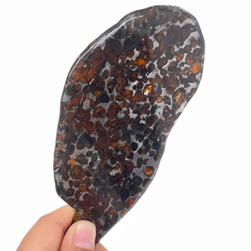 Sericho Pallasite Meteorite Slice Kenya Polished Natural Irregular Shape Olivine Pallasite Slab  For Collectible Gift QA895
