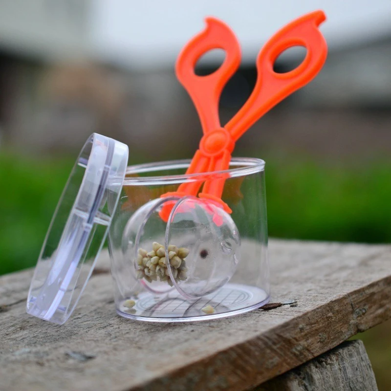 

2pcs/Kids Insect Clamp Ball Catcher, Safe Scissor Tweezers & Observation Ball Design, Cultivates Nature Exploration Interest