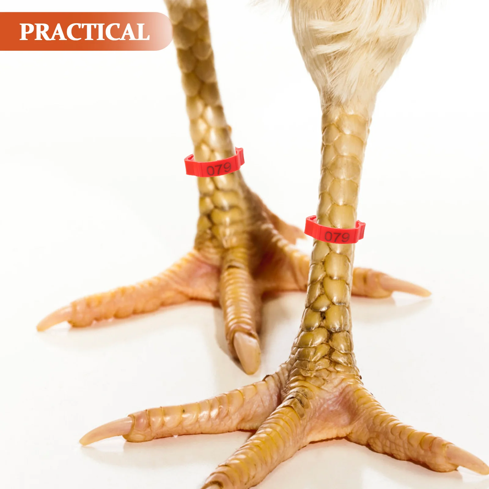 

200Pcs Chicken Leg Bands Poultry Feet Rings Bright Color Durable Plastic Farm Marker Identification 1-100 Chicken Leg Bands