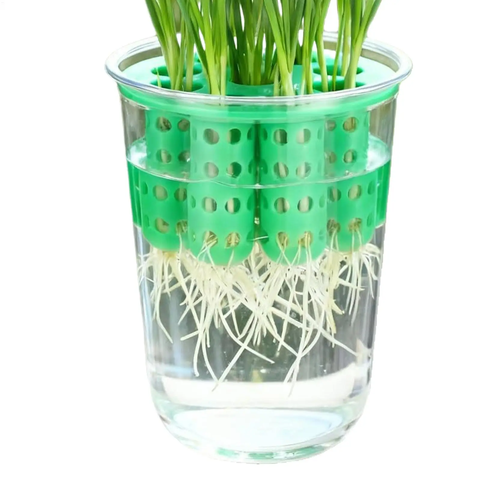 Wiederverwendbarer Hydroponischer Frühlingszwiebel-Pflanzer, Frühlingszwiebel-Keimset für Fensterbrett-Garten und Anzuchtschalen