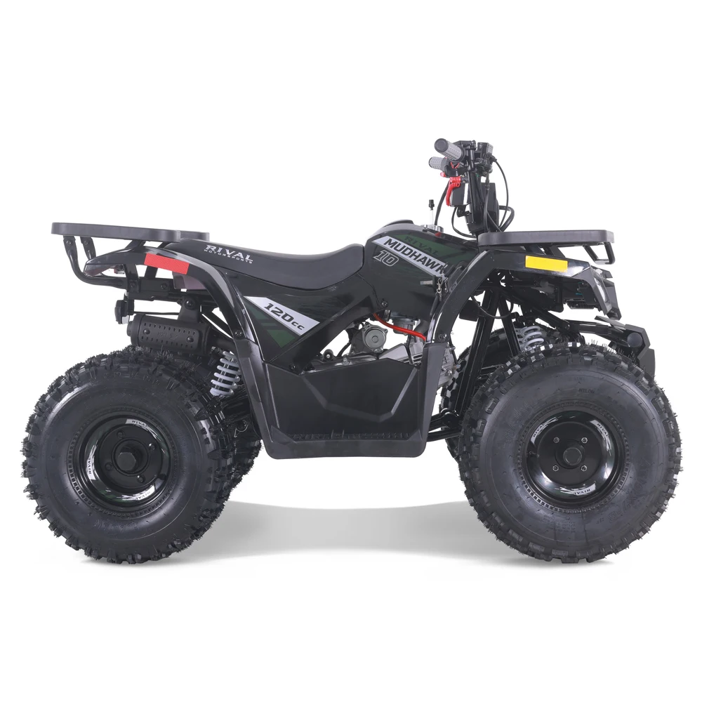 타오 모터 2024 신형 저렴한 ATV 어린이용 110cc 자동 체인 구동 ATV