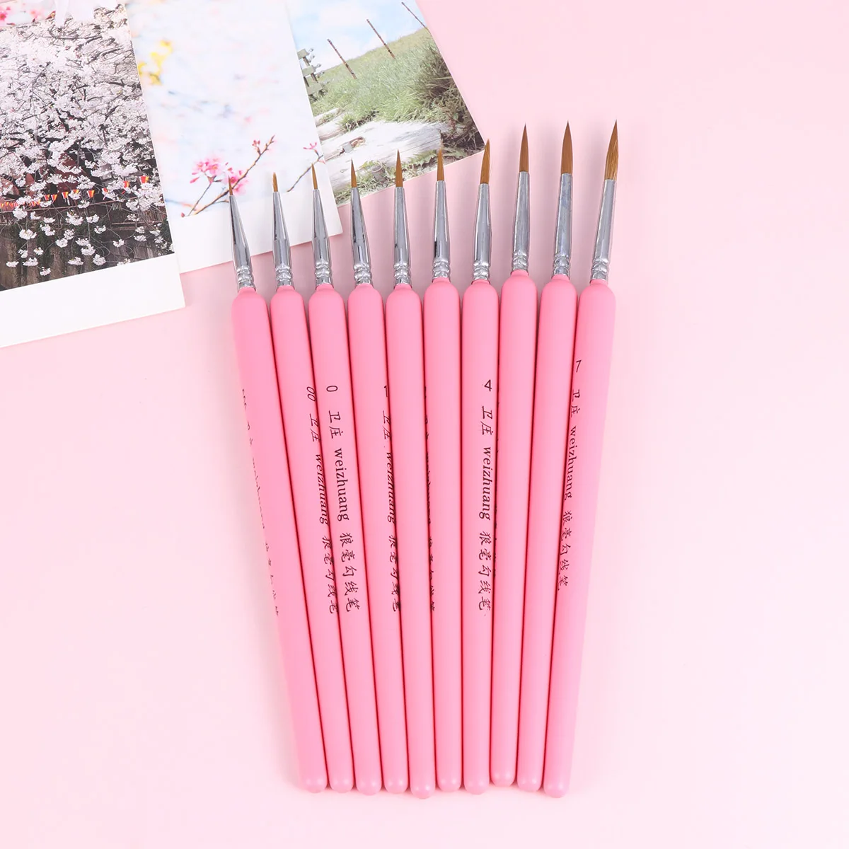 

10Pcs Fine Detailing Paint Brushes Set Professional Detail Paint Brush for Beginners Professionals Acrylics Watercolor