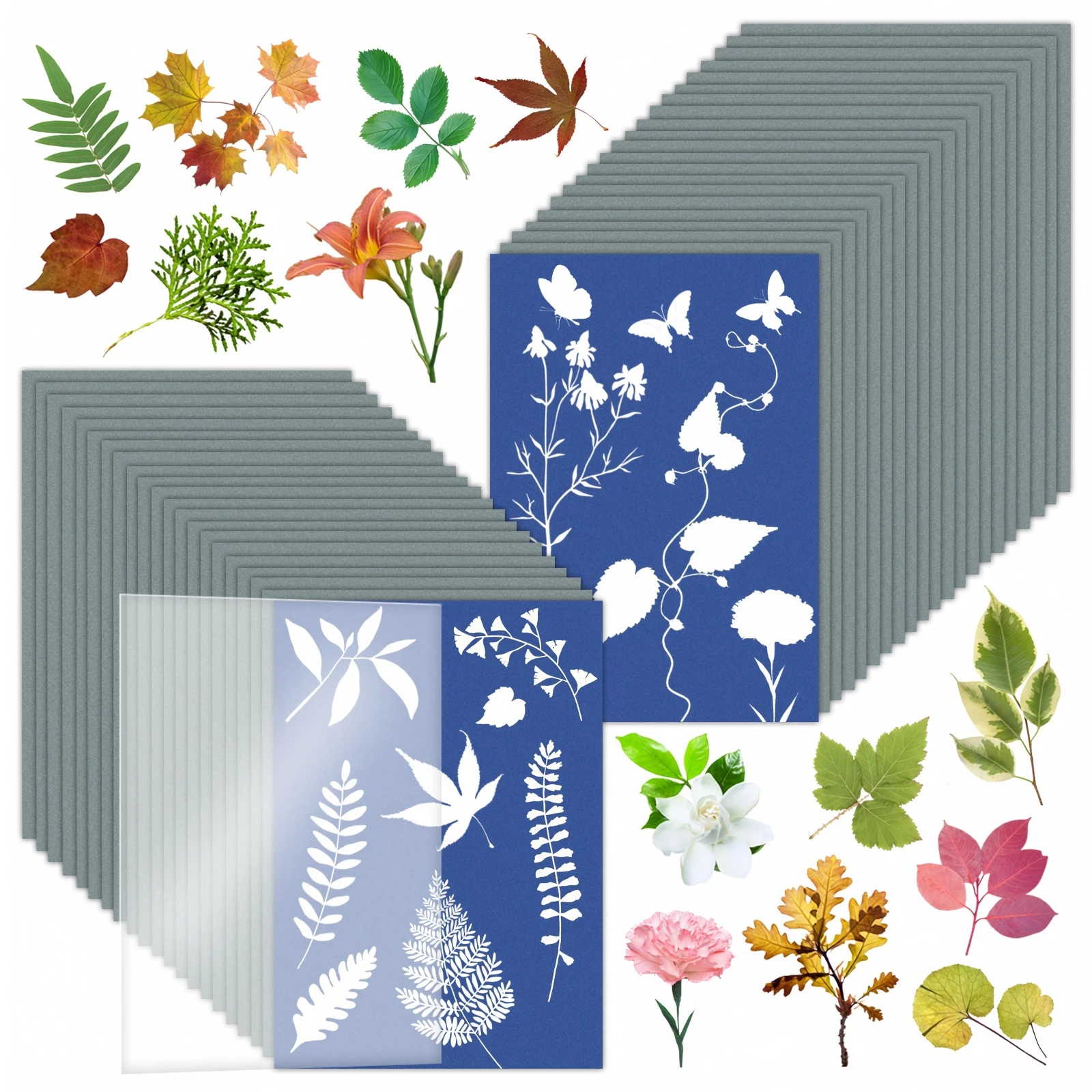 24Pcs A5 Cyanotype Paper with Backing Board Sun Print Paper Solar Drawing Paper Nature Printing Paper for Holiday DIY Decor