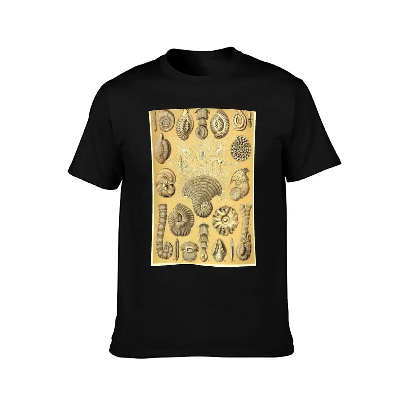 Plate 12. Thalamophora (now Foraminifera), amoeboid protozoans T-Shirt, Summer Casual Cotton Tee, Oversized Streetwear Tops