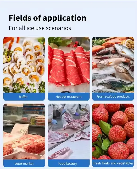 Macchina per la produzione di ghiaccio industriale commerciale a secco di grande capacità commerciale Macchina per il ghiaccio commerciale a blocchi piccoli Macchina per la produzione di fiocchi di ghiaccio