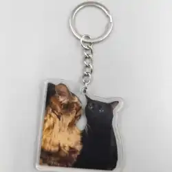 Cat Coughing Meme Viral Video Zoning Out Black Cat Meme Choking Meme Strawberry Cat Memes Key Chain Car Keyring Student Gift