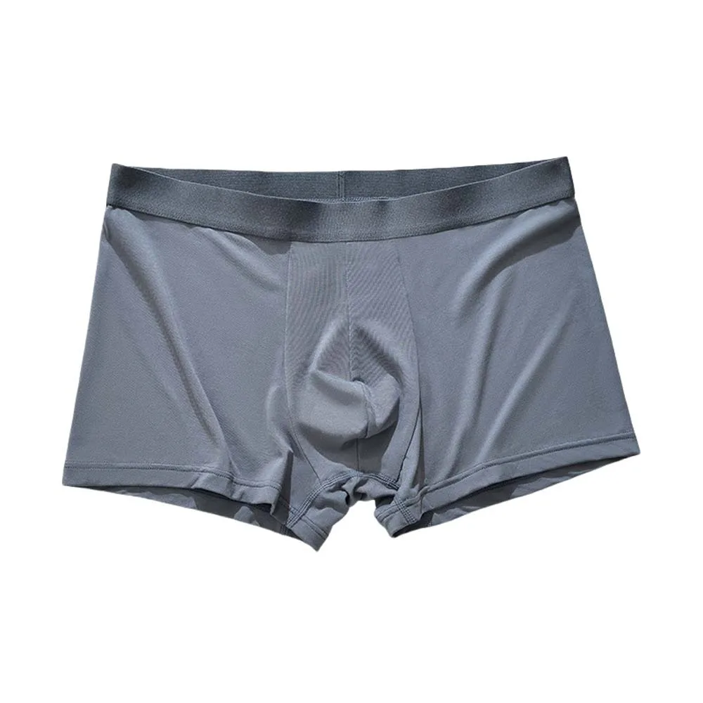 

Simple Elastic Thin Ice Silk Boxer Briefs Seamless Mid Waist Men Ice Silk Boxers Underpants Lingerie Underwear for Men Daily