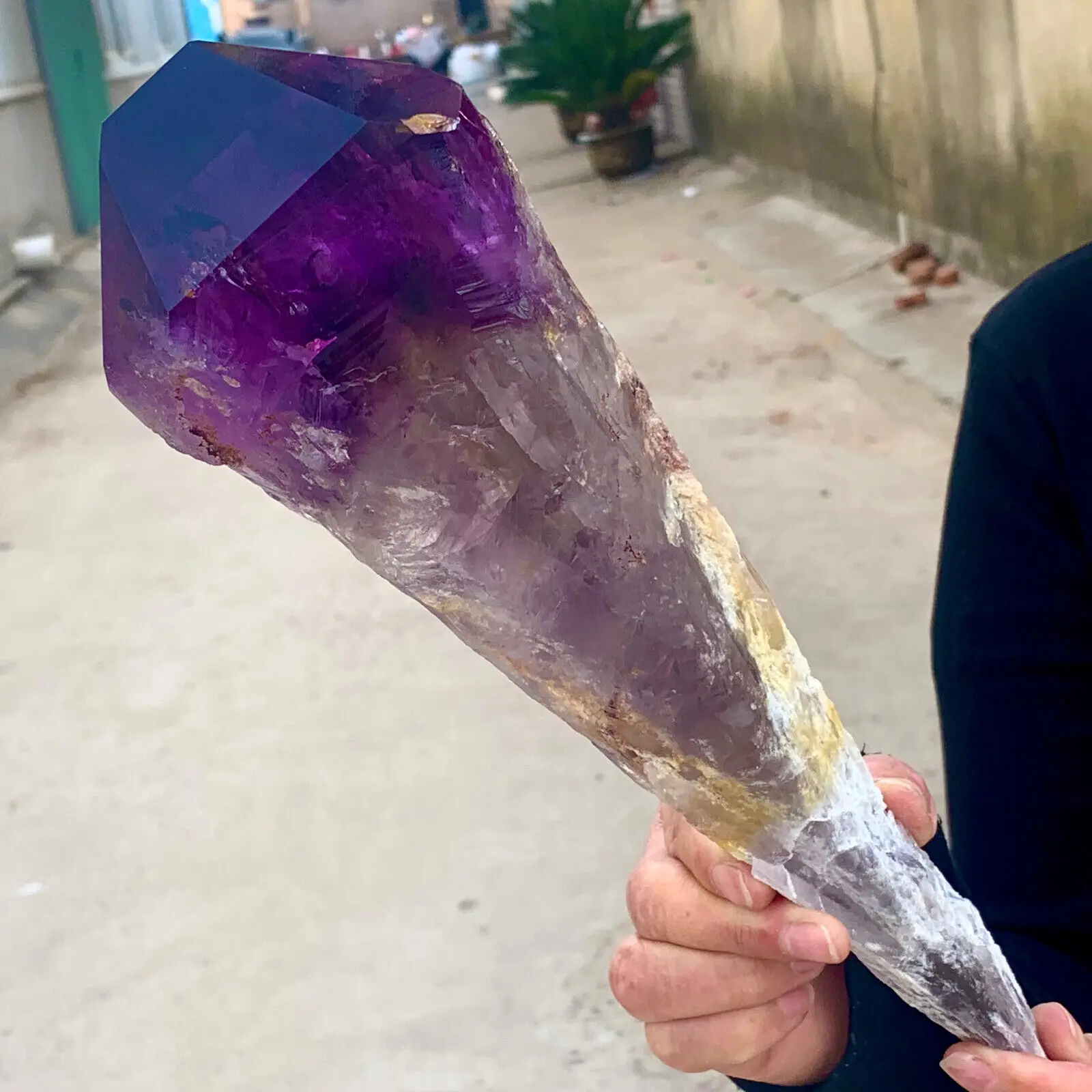 Natural Amethyst Scepter Healing Specimen