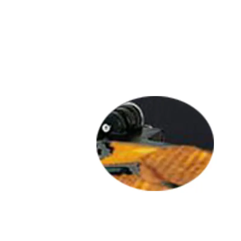 3 Pcs Crisp Sweet Japanese Street Food Fish Taiyaki Waffle Maker Machine 110V 220V Electric Korean Fish Cake Machine