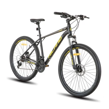 21-Speed Mountain Bike 1