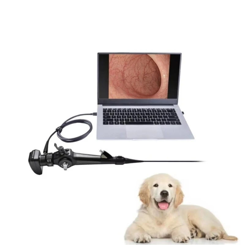 Portable Veterinary Endoscope USB Connected Laptop for Examination Endoscopy for Veterinary ENT Hospitals 1500mm working