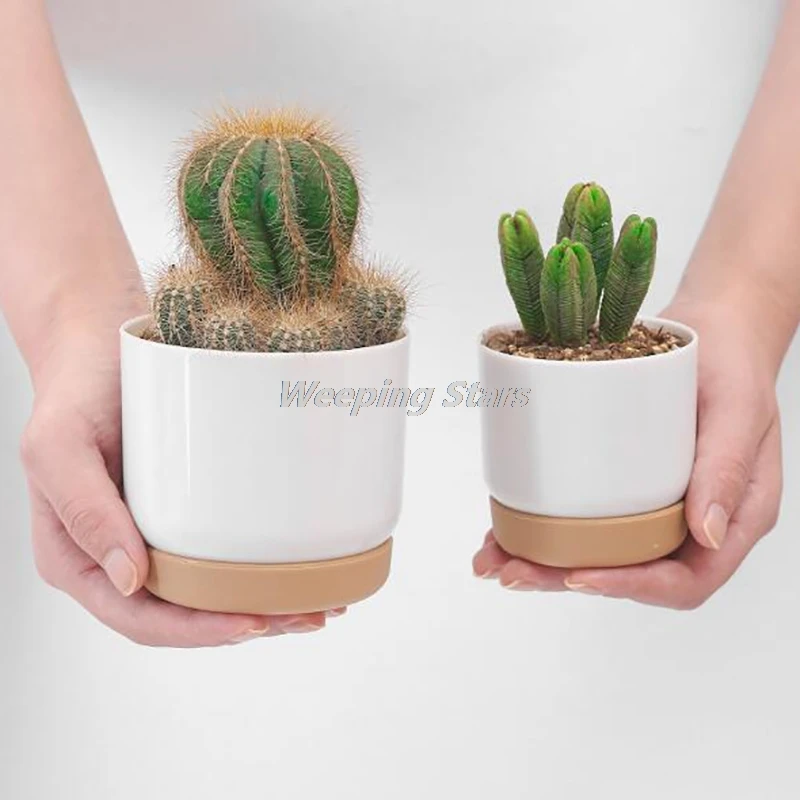 Automatic Water Absorption And Storage Round Succulent Plant Pot Double-layer Succulent Green Dill Small Green Plant Flower Pot