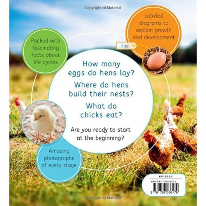 دورات الحياة البيض إلى الدجاج كاميلا دي لا بيدويري كيد للنشر 9781786036179 كتاب #2