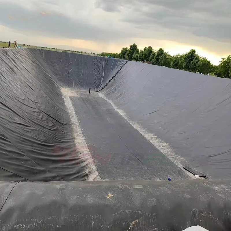 Customized HDPE Waterproof Geomembrane Roll for Fish Pond Landfill Mining Biogas and Water Storage Applications