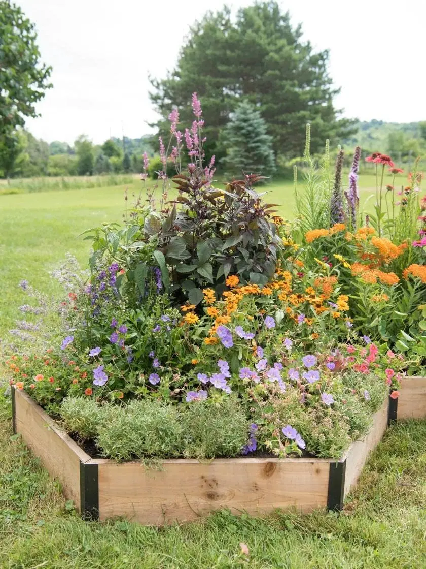 

Pollinator Cedar Garden Box | Hexagon Shape with Aluminum Corners for Outdoor Plants Vegetables & Flower Gardening