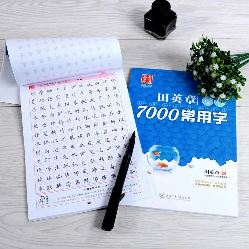 7000 Common Chinese Characters Calligraphy Copybook Regular Script Practice Book for Pen Writing