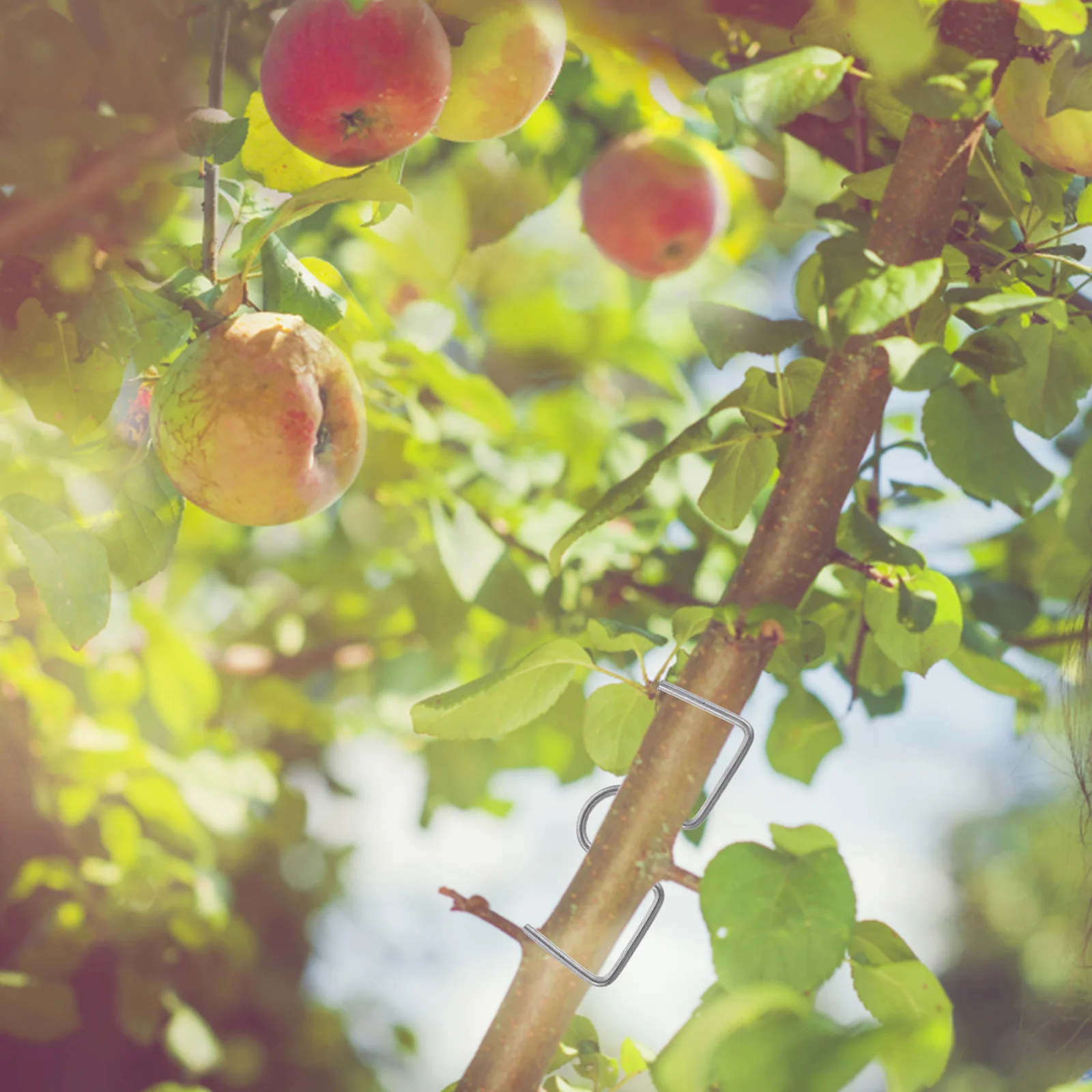 Galvanized Tree Puller Tie Shaper Branch Spreader Bender Cold Drawn Wire Durable Garden Bonsai Moderators Fruit Trees Flowers