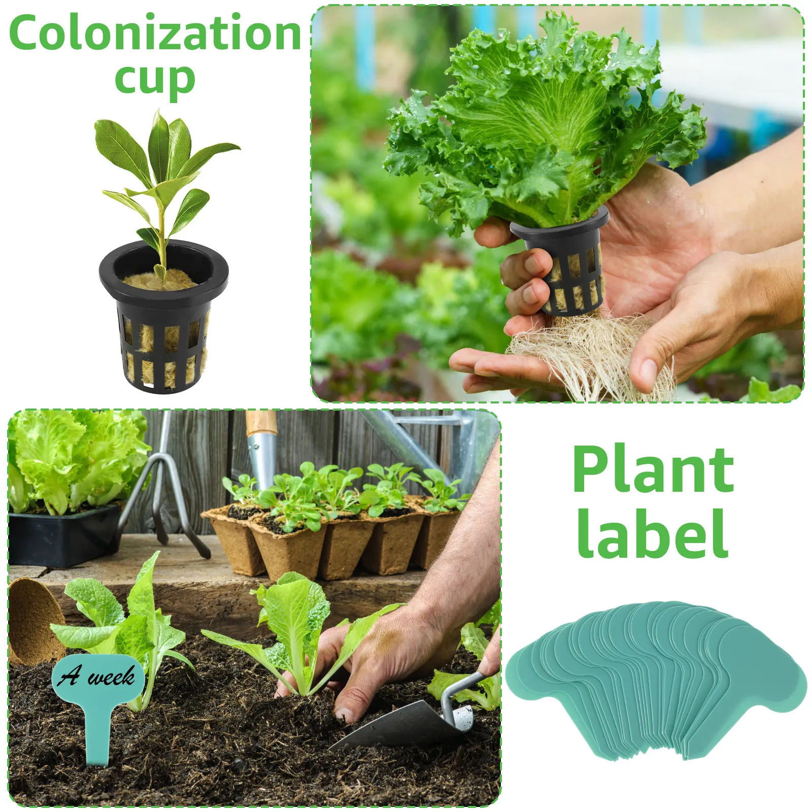 مكعبات وسائط للزراعة المائية من stonewoo ، مكعبات نباتات ، تنفس ، امتصاص جيد ، طقم أكواب شبكية للشرفة المنزلية ، 72 مجموعة #4