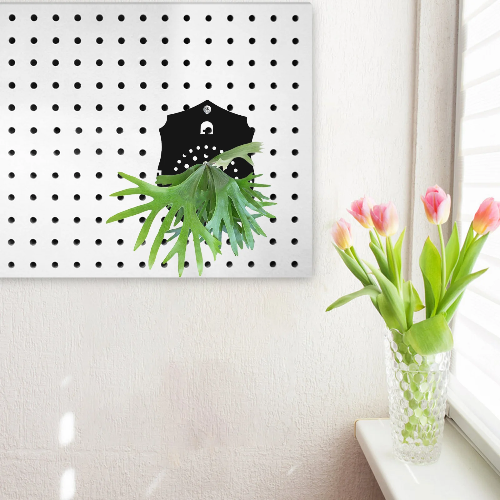 

Acrylic Wall Planter Fern Mounting Board Frosted Black Indoor Plant Stand Rustic Home Decor Easy Installation