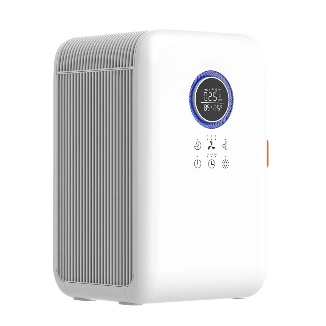 Homefish China Hot Selling Car And Office Air Quality Improvement Smart Portable Desktop Air Purifier