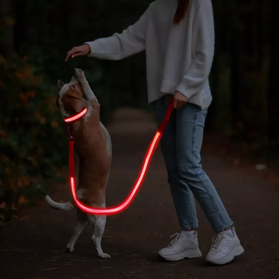 

Amazon hot sale dog accessories Pet Products Led Dog Glow In Dark Luminous Collar Light Up Dog Leashes