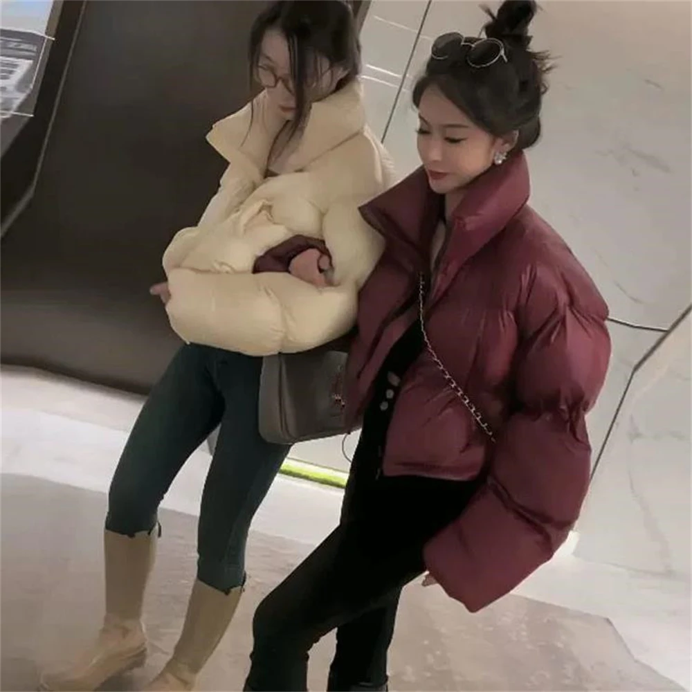 Solid All-match Harajuku Trendy Stand Collar Overcoats Simple Design Ulzzang Streetwear Short Style Parkas Women Loose Leisure