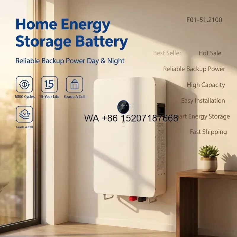 Wmwmnu for 51.2V 100Ah 5.12kWh LiFePO4 Wall Mounted Home Battery Factory Direct OEM ODM Solar Energy Storage System