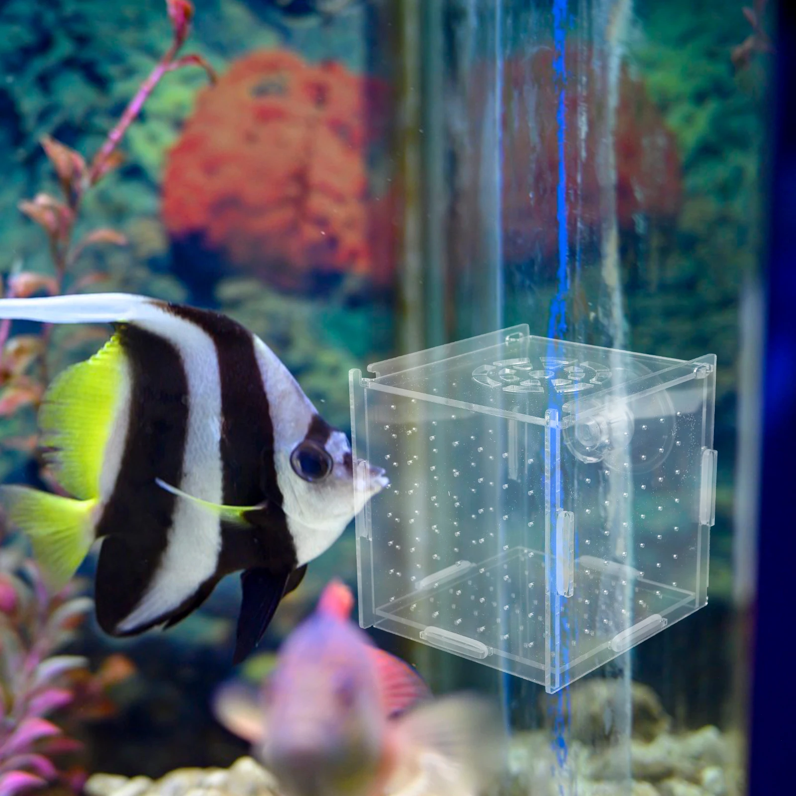 

Clear Acrylic Aquarium Divider Hatchery Incubator Transparent Isolation Tank Breeding Cage Suction Cups Layer Isolation Net