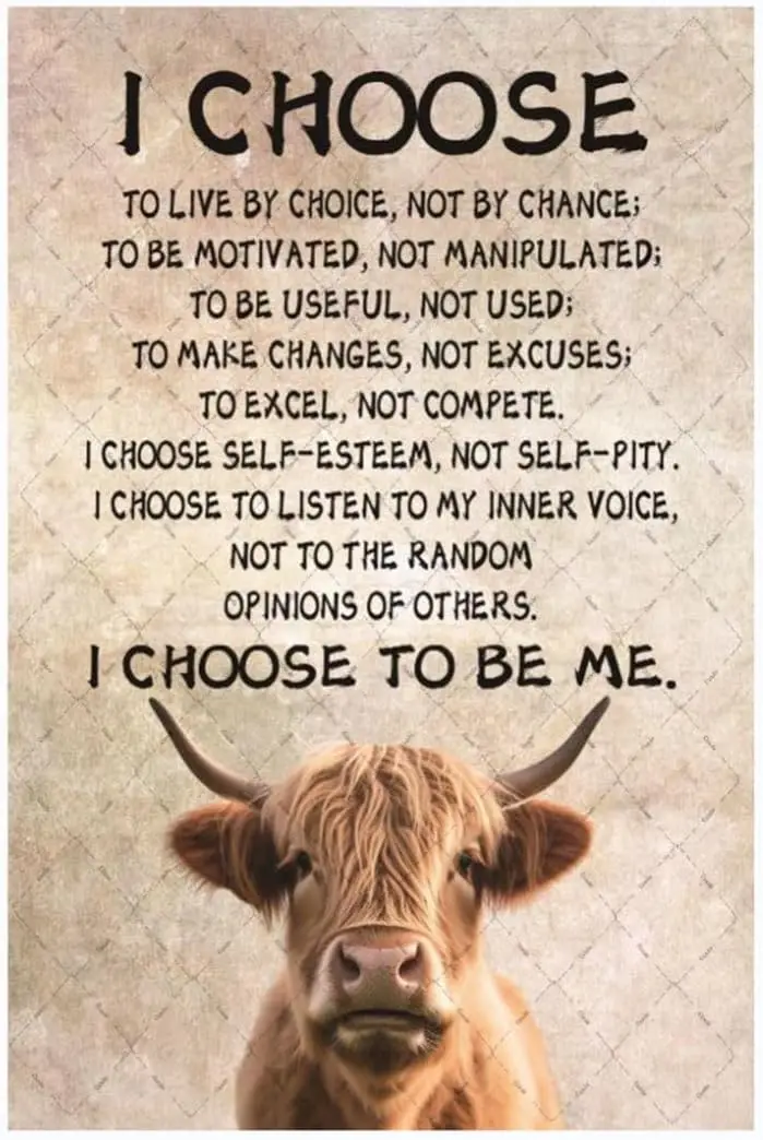 Cusde Highland Cow Metal Tin Sign I Choose To Be Me Wall Decor Motivational Inspirational Quotes Art Retro Vintage De
