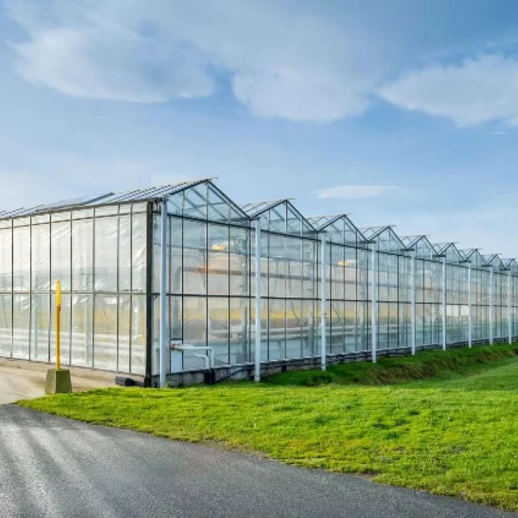 

Customized greenhouseHydroponic Glass Greenhouse with Vertical Farming Design Green House for Vegetables