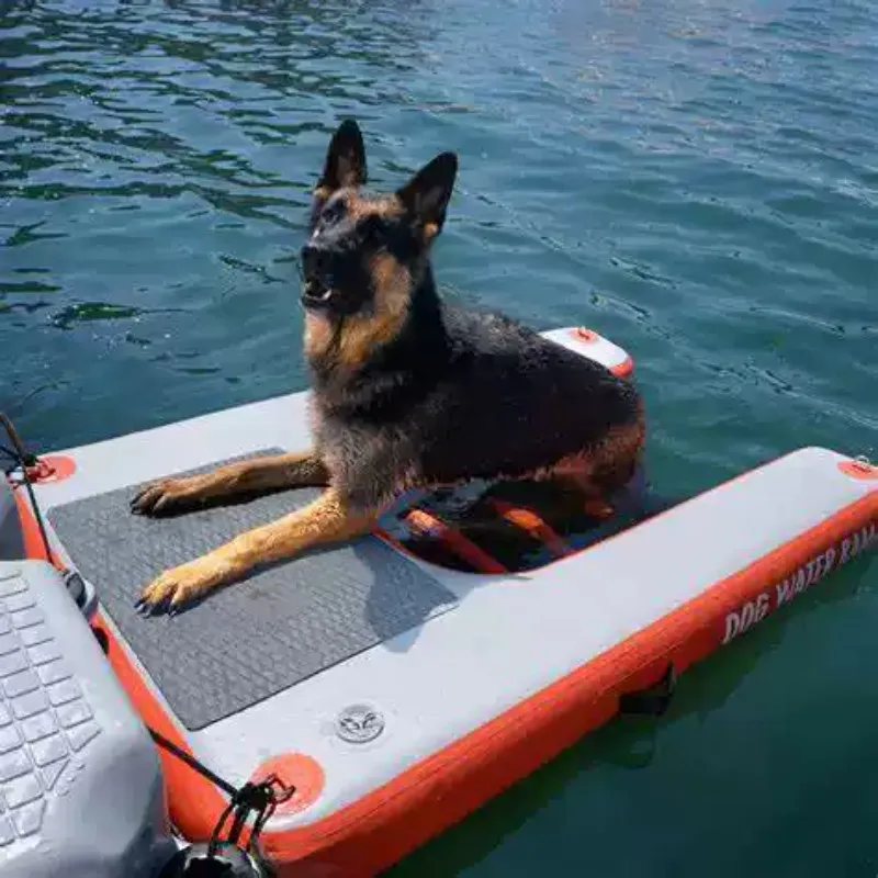 Inflatable Pet Water Auxiliary Board Dog Climbing Ladder for Yacht Surfing Water Entertainment Pet Swimming Accessory