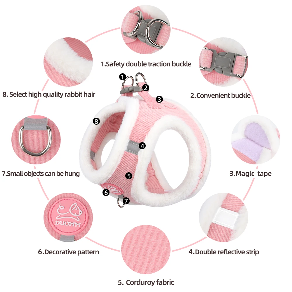 Thumbnail 2 - #73 Top Puppy Leads Picks for Every Budget