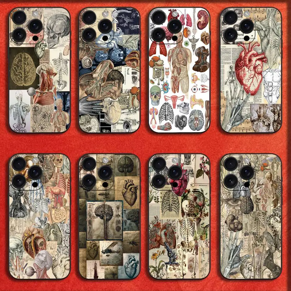 

Human Anatomy Biology Medicine Physiology Phone Case For iPhone 16,15,14,13,12,11,Pro,XS,Max,XR,Plus,E,Mini Black Cover