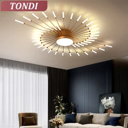 Nordic LED Fireworks Ceiling Chandelier For Living Room Bedroom Modern Ceiling Lights Lustre Room Decorative Lighting Fixtures