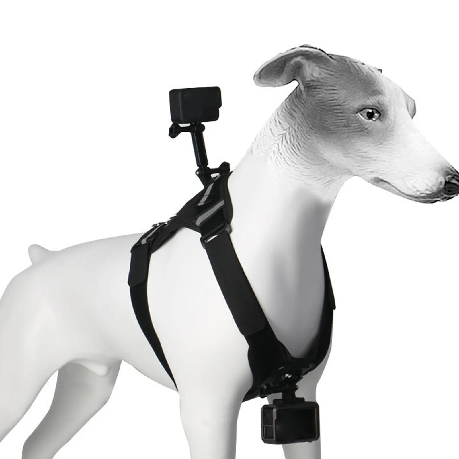 Action Camera Dog Harness Mount Comfortable Nylon Plastic Dog Harness Camera Mount Vest Chest and Back Fixation for Recording