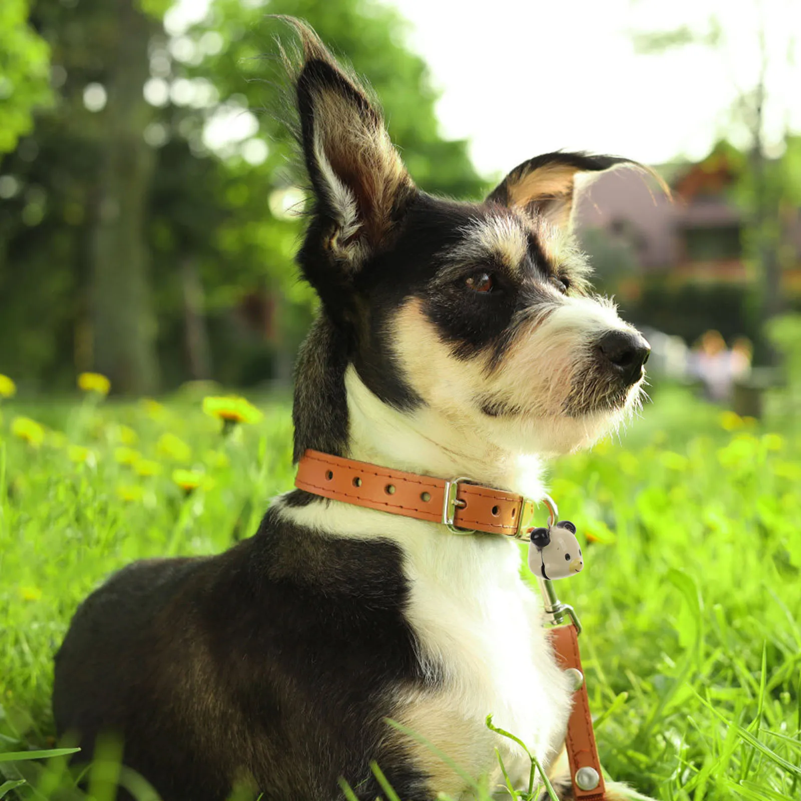 

10Pcs Pet Bells Accessories DIY Copper Dog Cat Bells for Collars Loud Christmas Jingle Bell Charm Craft Small Metal