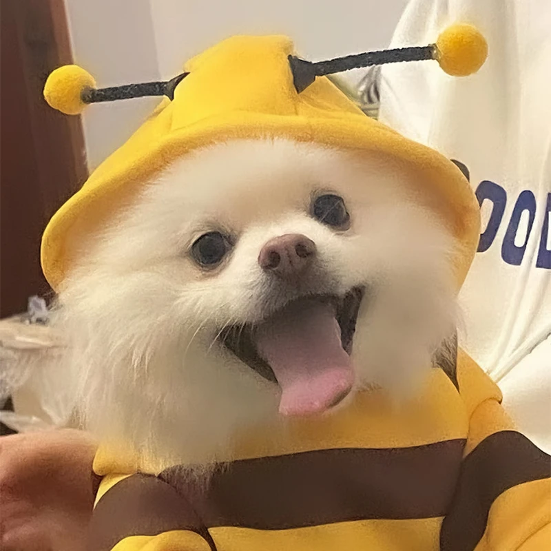 Bee Pet Puppy Coat Apparel Outfit Fleece Clothes Dog Cat Hoodie Fancy Costume Halloween Cosplay Sweater Dog Hoodies