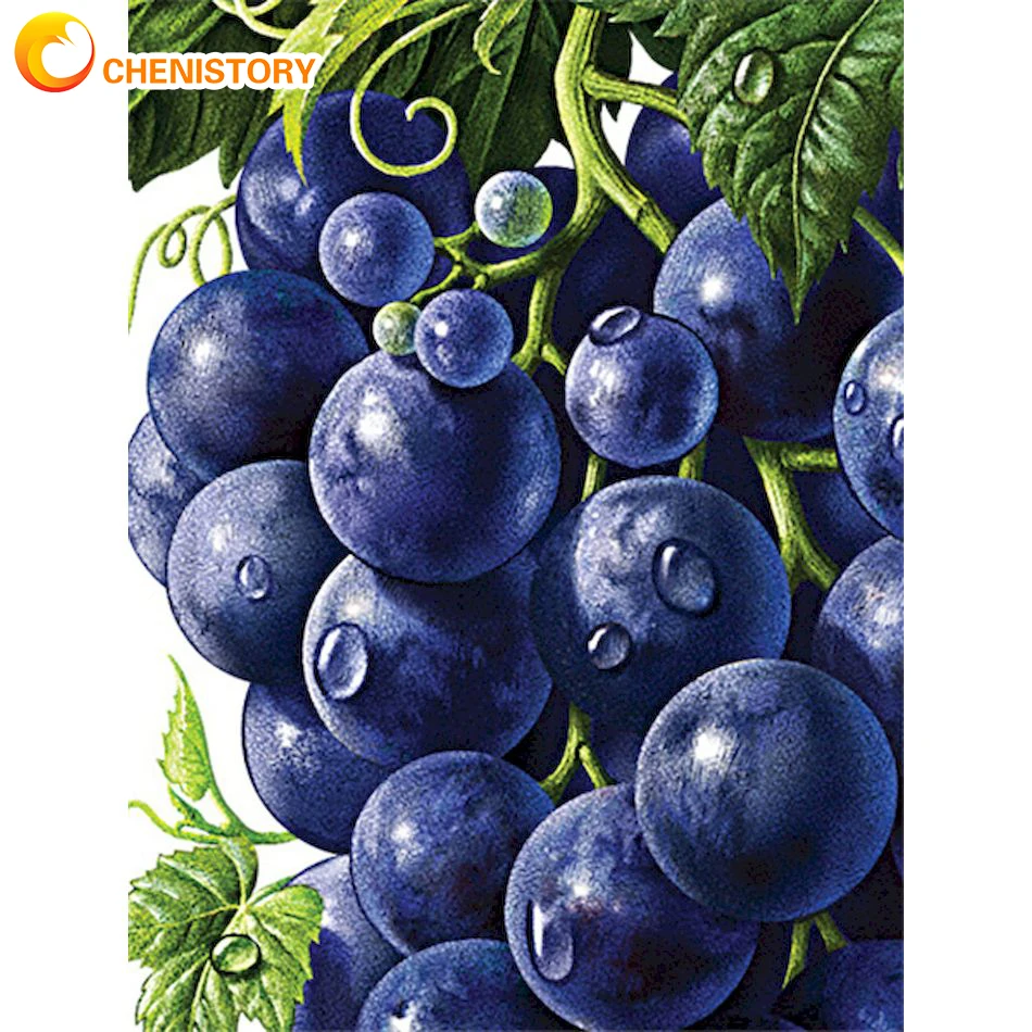 

CHENISTORY 30x40cm Diamond Embroidery Cross Stitch Fruit Grapes Diamond Painting 5D DIY Full Round Drill Mosaic Pictures Kits Gi