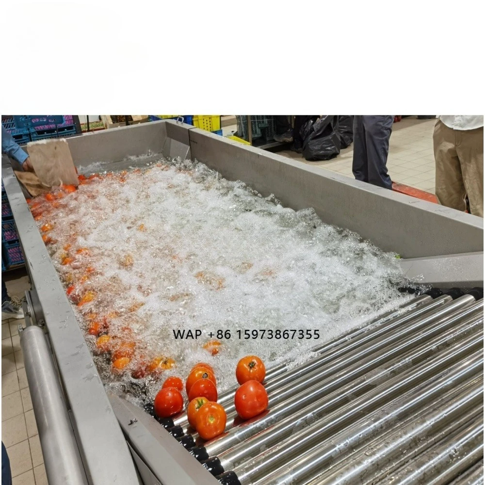 Automatic Ozone Sterilization Fruit Bubble Washer Industrial Fruit Vegetable Washing and Sorting Machine